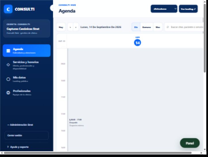 Vista real del resumen de Consulti Hub
