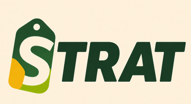 Strat Ecommerce logo oficial